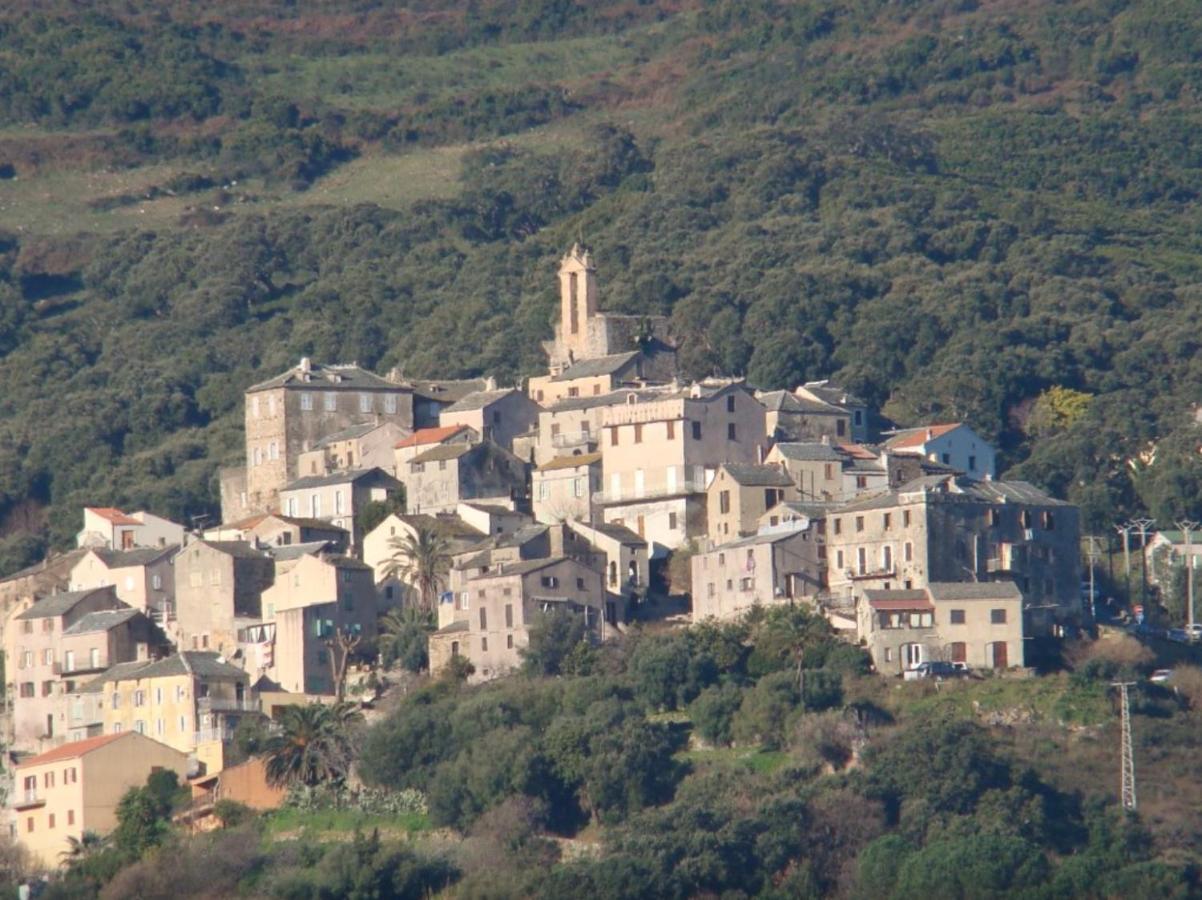 Chambre D'Hotes Casa Lucia Furiani Kültér fotó