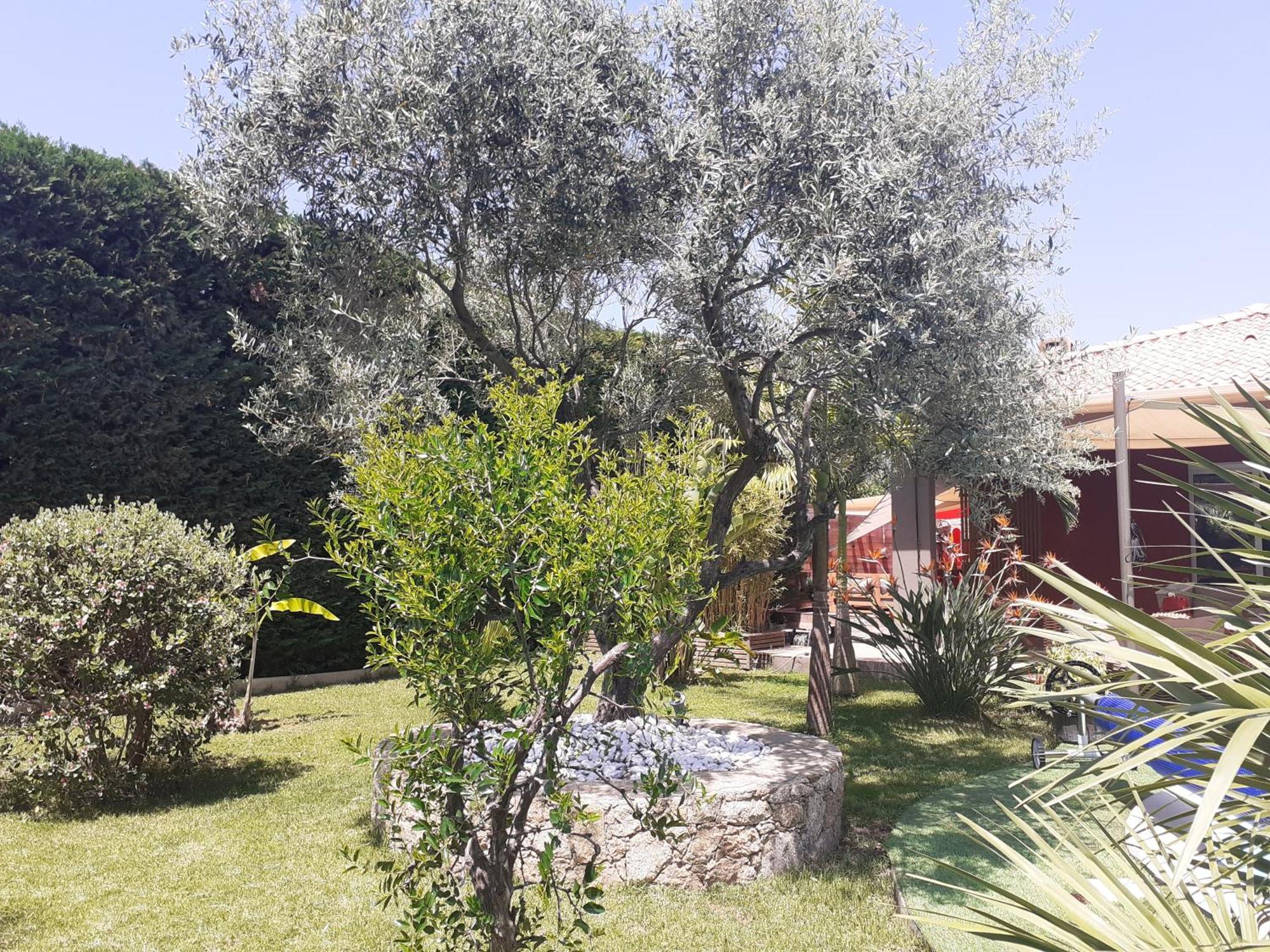 Chambre D'Hotes Casa Lucia Furiani Kültér fotó